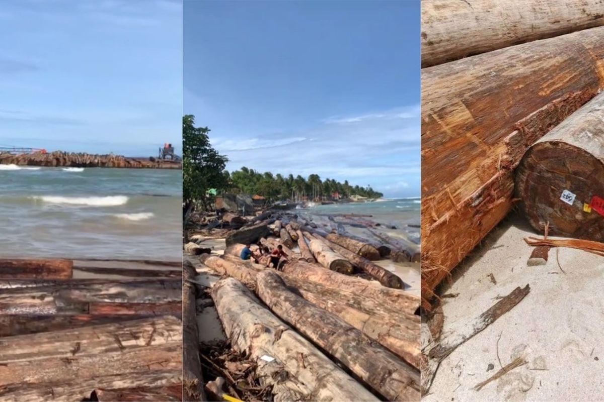 Label Kementerian Kehutanan Ditemukan pada Kayu Gelondongan yang Terdampar di Pantai Lampung