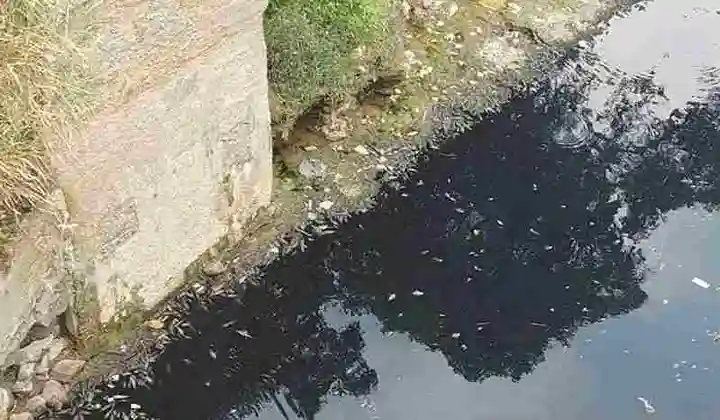 DLH Jabar Investigasi Dugaan Pencemaran Sungai Hitam di Ciwidey