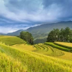 7 Kebijakan Baru Pemerintah Pusat yang Akan Berdampak Langsung pada Ekonomi Warga Daerah