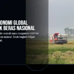 Gejolak Ekonomi Global Ancam Stok Beras Nasional